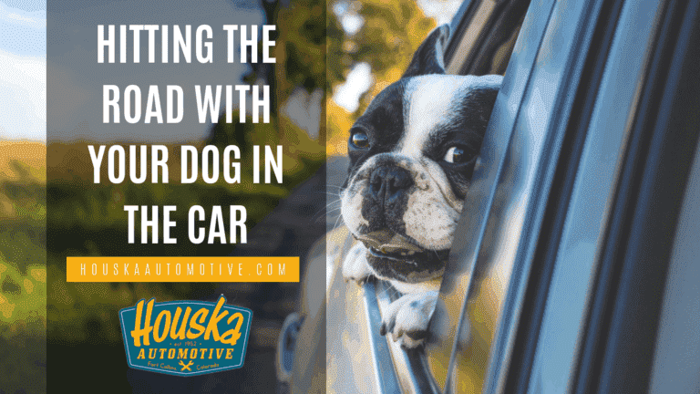 Hitting The Road With Your Dog In The Car by Houska Automotive