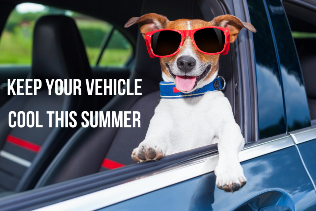 keep your vehicle cool