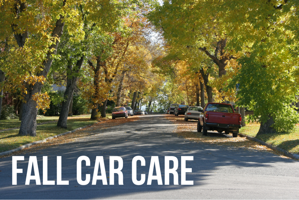 fall car care